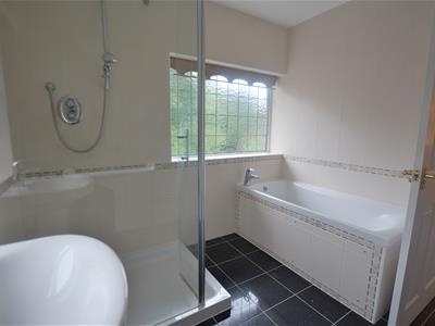 Picture 24